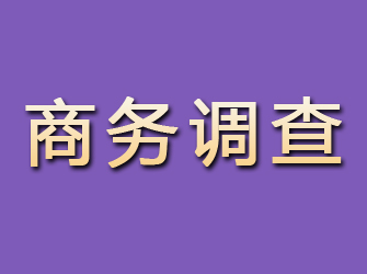 通化商务调查